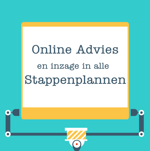 Online advies en inzage alle stappen